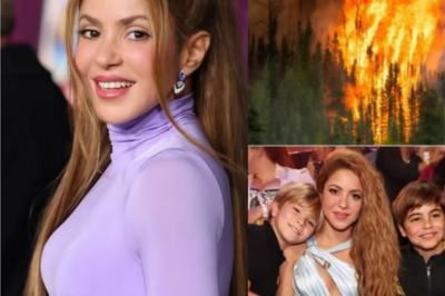 “Incluso el acto más pequeño puede salvar la naturaleza”. Shakira donó 500.000 dólares de su propio dinero a nombre de sus dos hijos, Milan y Sasha, para apoyar los esfuerzos de ayuda por los incendios forestales en Los Ángeles 😱❤️. Este gesto conmovió a todo Estados Unidos — sin patrocinadores, sin cámaras, solo pura compasión. La bondad de Shakira desató una ola de emociones, hizo llorar a la comunidad y recibió sinceros aplausos por su humildía valiente. “Un ángel guardián envuelto en una fuerza silenciosa”.
