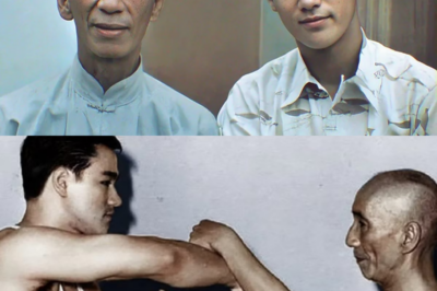 La confesión final de Ip Man antes de morir: prejuicios ocultos, traiciones silenciosas y la decisión que separó para siempre al maestro más puro del Wing Chun y al guerrero que cambiaría el mundo, Bruce Lee