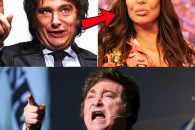 ¡El insulto que dejó helado a Milei en TV!