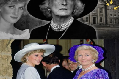La mujer que lo PERDIÓ TODO: La MADRE de Lady Di contra la DINASTÍA Spencer…