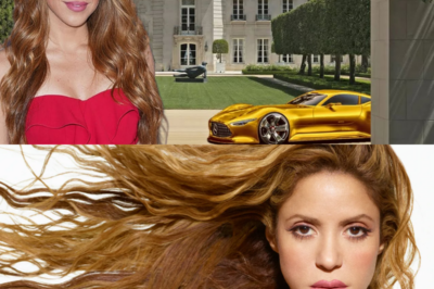 Así es la LUJOSA VIDA de SHAKIRA