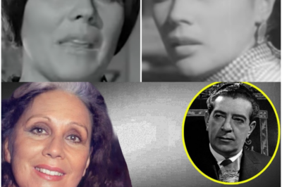 ¡ÚLTIMA ALERTA! Rita Macedo contra la historia: Las pruebas del complot que unió a la estrella de cine con el hombre más poderoso de México hoy.