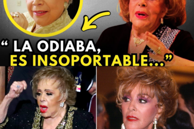 Antes de morir, Silvia Pinal rompe el silencio y revela la verdad que estremeció a todos