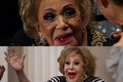 Silvia Pinal: La Hija que Borró del Testamento un Día Antes de Morir – Heredó Todo a Esta Persona