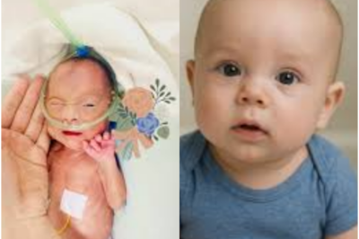 Creció lejos de su familia… 25 años después regresó y nadie esperaba lo que ocurrió