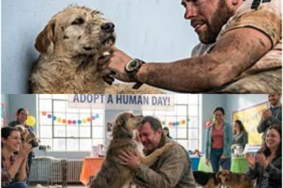 Durante todo el día, un pequeño perro permaneció sentado frente a la entrada de un hospital sin alejarse ni un momento. Las personas que pasaban comenzaron a notar su paciencia y su mirada atenta hacia las puertas. Cuando finalmente ocurrió algo inesperado en el interior del hospital, todos comprendieron la razón por la que el animal había esperado allí con tanta fidelidad.