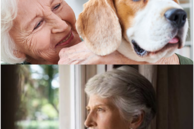 Vivo sola a los 68 años y no estoy triste. Con los años entendí algo sobre la vida que muchas personas descubren demasiado tarde.