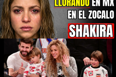 La Venganza de Oro: Cómo Shakira transformó la traición de Piqué en un imperio de 421 millones de dólares