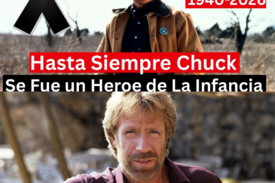 El Triste Final de Chuck Norris El Heroe de Nuestra Infancia