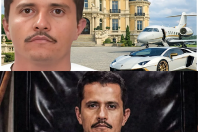 EL IMPERIO INVISIBLE: así se tejió la red de lujo, influencia y controversia alrededor de El Mencho