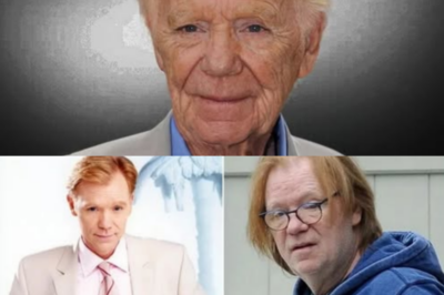 De rey absoluto de la televisión a un nombre que el mundo dejó de pronunciar: la caída silenciosa, los errores fatales y la vida solitaria de David Caruso después de CSI Miami