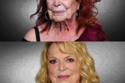 Ednita Nazario ya Tiene Más de 70 Años y Su Vida Hoy Sorprende a Todos: De Ícono Inolvidable de la Música Latina a una Etapa Más Reservada, Entre Recuerdos, Desafíos Personales y un Legado que Sigue Conmoviendo a Millones de Fans en Todo el Mundo