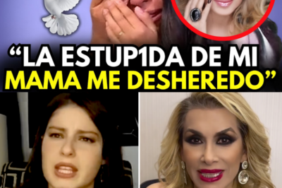 Hoy se confirma la traición que Dulce ocultó en su testamento y que Romina acaba de descubrir.