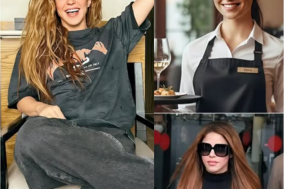 Sera, una camarera de 22 años, no tenía idea de que la mujer silenciosa a la que estaba atendiendo era en realidad Shakira, la famosa estrella. Sentada discretamente, Shakira comía de forma sencilla, sin llamar la atención, lejos de los focos y de cualquier ostentación de fama. Cuando se preparaba para irse, dejó sobre la mesa un papel cuidadosamente doblado, acompañado de una dulce sonrisa. Cuando Lily lo abrió, rompió a llorar. Ese momento marcó el comienzo de un capítulo completamente nuevo en su vida.