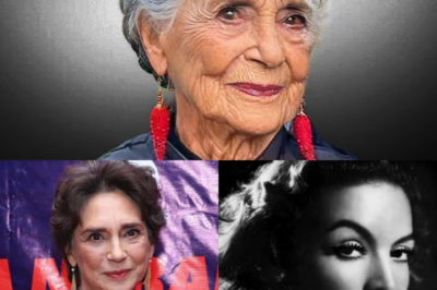 Ofelia Medina está Ahora casi 80 Años y Cómo Vive es Triste