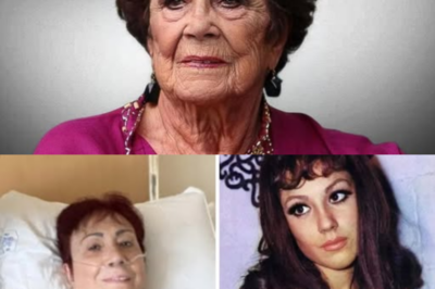 ¡A SUS MÁS DE 80 AÑOS, JULISSA ENFRENTA UNA REALIDAD QUE NADIE IMAGINÓ Y SU VIDA ACTUAL DEJA AL MUNDO EN SILENCIO!