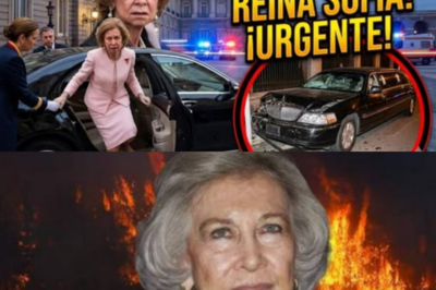 CASA REAL ALERTA por ACCIDENTE DE LA REINA SOFÍA en SU COCHE EN GRECIA ¡ÚLTIMA HORA!