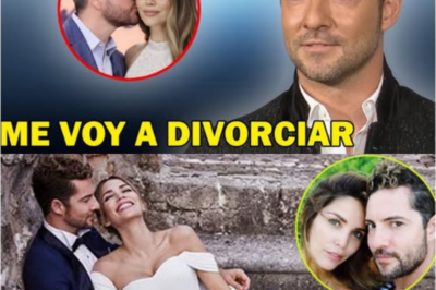 David Bisbal rompe el silencio y confiesa la verdad tras los rumores de divorcio con Rosana Sanetti: “El error fue creer que no necesitábamos revisar el vínculo”
