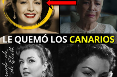 El Desgarrador Adiós de Elsa Aguirre: Los Secretos, la Violencia y la Tragedia de la Última Diva del Cine de Oro Mexicano