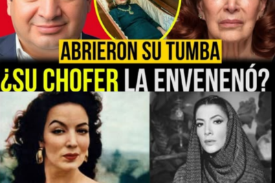 La Mujer que Conquistó la Fama, Pero Nunca Pudo Escapar de su Pasado